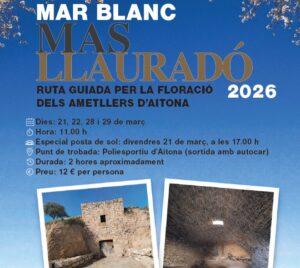 Mar Blanco