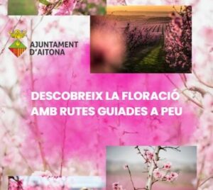 Rutas a pie entre campos en flor