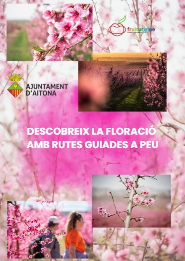 Rutas a pie entre campos en flor