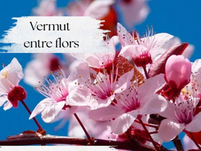 Vermut entre flors